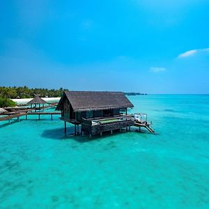 Biệt Thự có Hồ Bơi